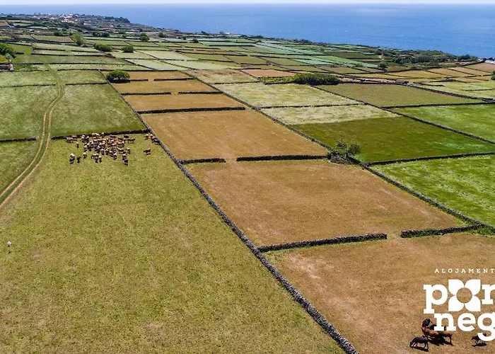 Recanto 5 By Pontanegraazores *